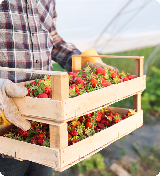 شعار من نحن