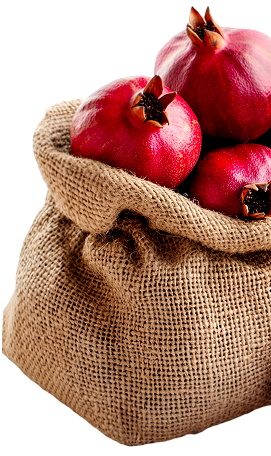 بانر من نحن